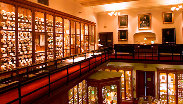 mutter-museum