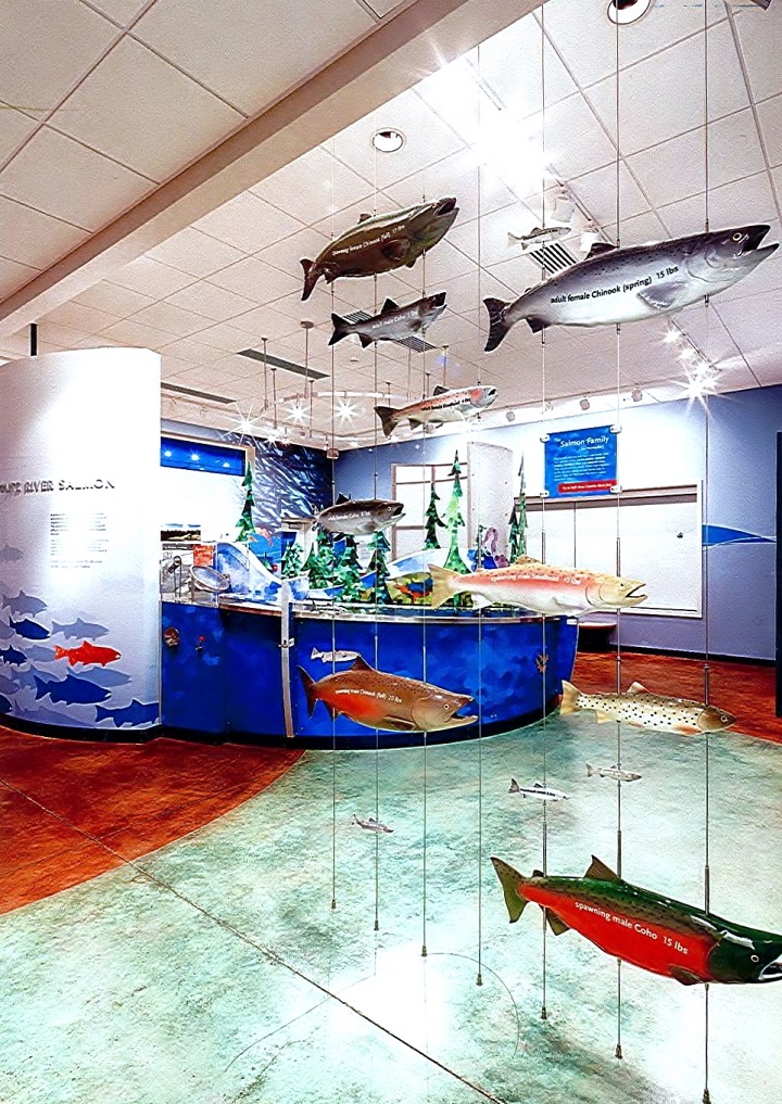 Epoxy Coatings protect Stained Floors